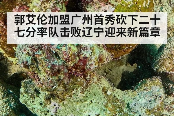 郭艾伦加盟广州首秀砍下二十七分率队击败辽宁迎来新篇章